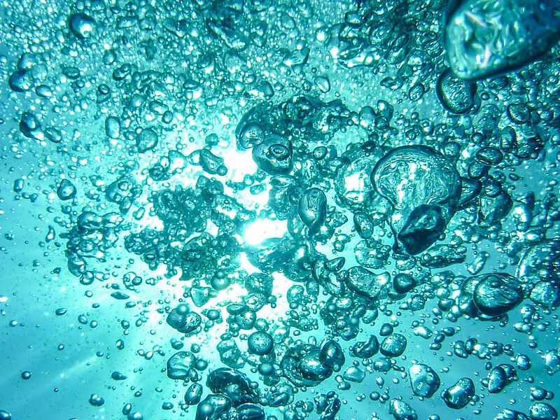 Voici la description de mon image dans la balise alt=""