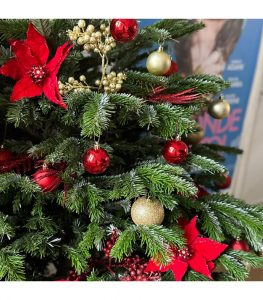 Deuxième partie de la formation